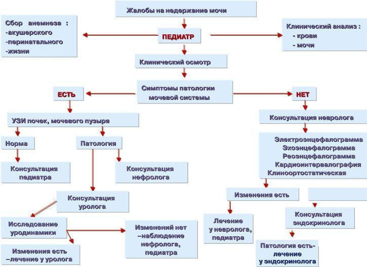 Диагностика при энурезе